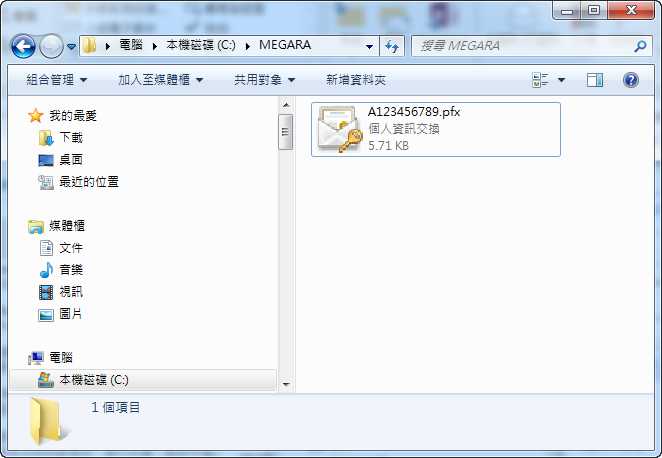 憑證樣式